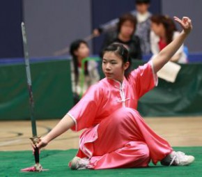 中銀香港第54屆體育節 - 2010-2011 年度全港中學校際武術比賽
