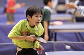 2010 年全港公開青少年乒乓球錦標賽