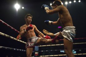 世界泰拳大滙演2011