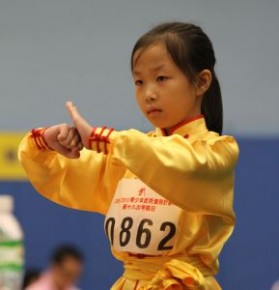 全港公開兒童國術分齡賽2013