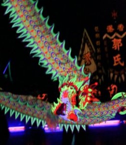 第十四屆全港公開夜光龍錦標賽2013