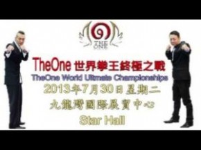 The One 世界拳王終極之戰2013