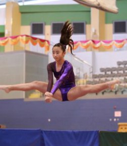 2013-2014年度全港中學校際體操比賽