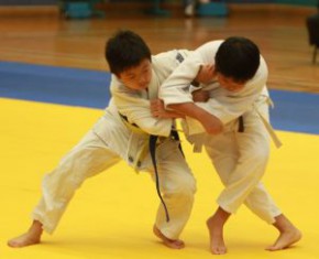 2014 柔道隊際錦標賽