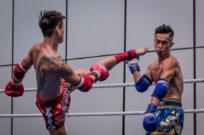 2017年度香港泰拳冠軍爭奪戰