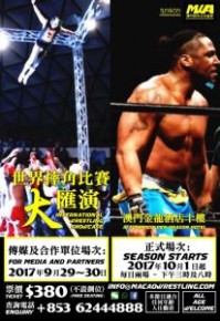 世界摔角比賽大匯演