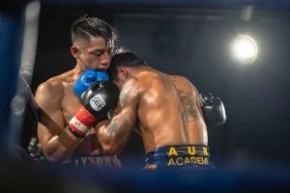 WBC Champion Boxing : Night of Ring Diamonds