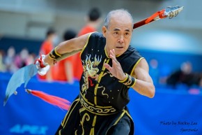 第13屆傳統武術/太極拳械國慶金杯公開賽
