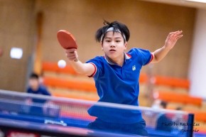 全港學界精英乒乓球比賽(中學組)