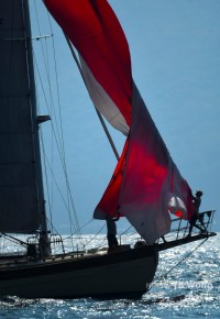 Around the Island Race 2022