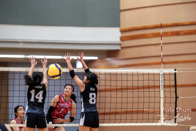 20240128_Volleyball_Viola-00164