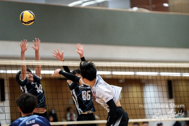 20240128_Volleyball_Viola-09690