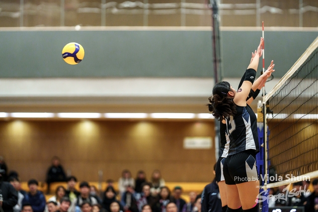 20240128_Volleyball_Viola-09844
