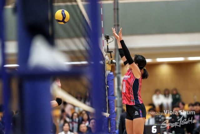 20240128_Volleyball_Viola-09893