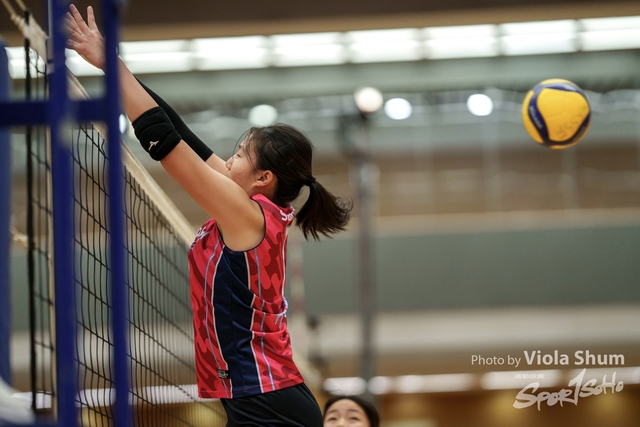 20240128_Volleyball_Viola-09916