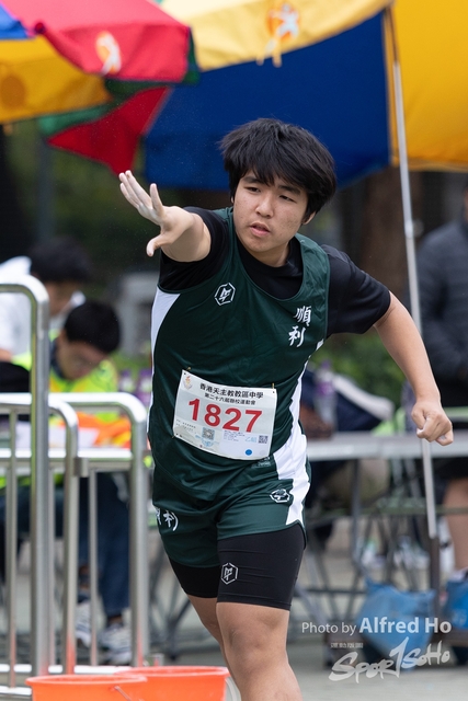 Photo _101