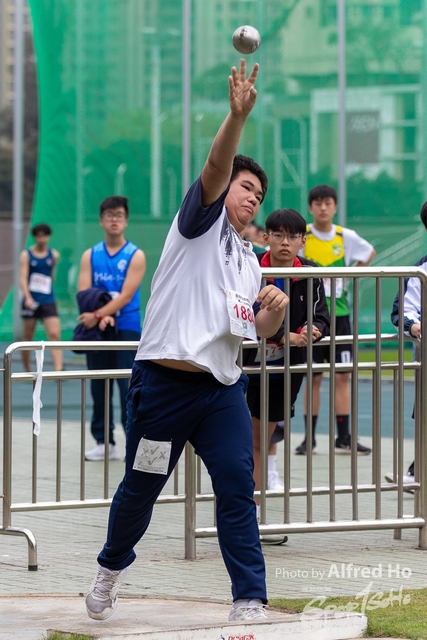 Photo _105