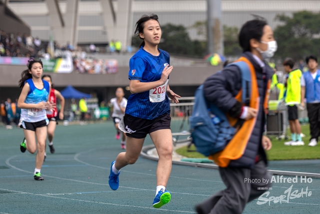 Photo _224