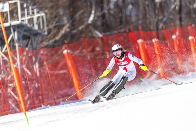 20240125 - Stephen Yau -SYR50240