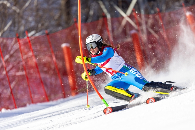 20240125 - Stephen Yau -SYR50354