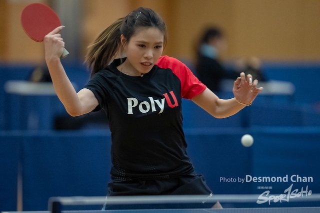 Desmond Chan 20240225 table tennis AM A1_DA12471