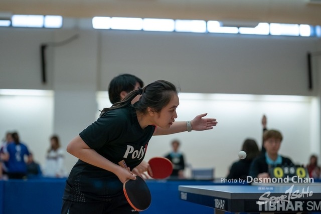 Desmond Chan 20240225 table tennis AM A9_DA98363