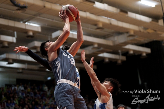 20240310-Basketball-Viola-03874