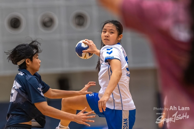 Handball  (29)
