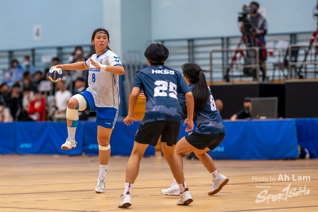 Handball  (31)