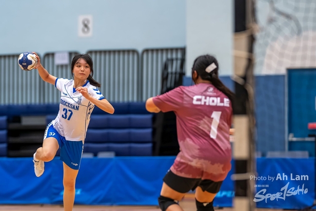 Handball  (32)