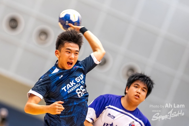 Handball  (73)