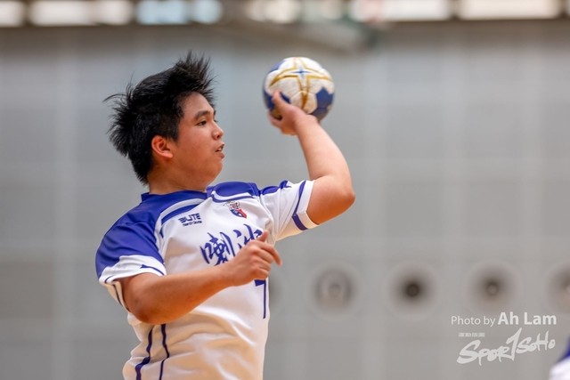 Handball  (86)