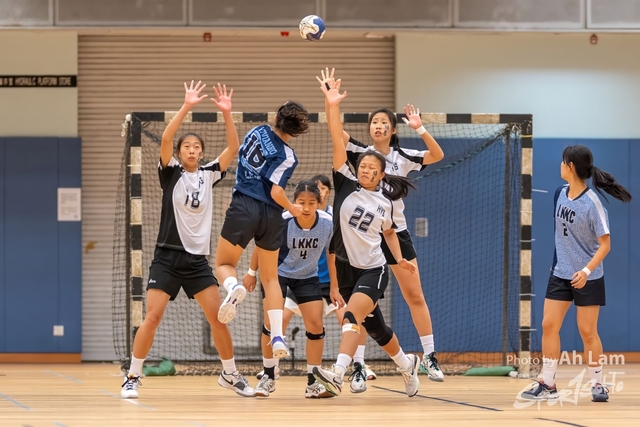 Handball  (95)