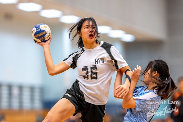 Handball  (96)