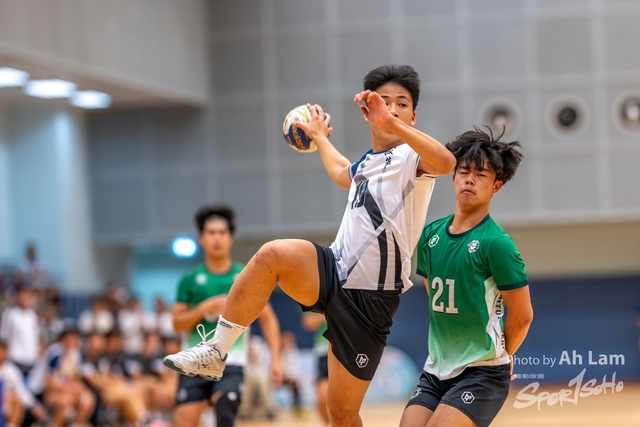 Handball  (131)