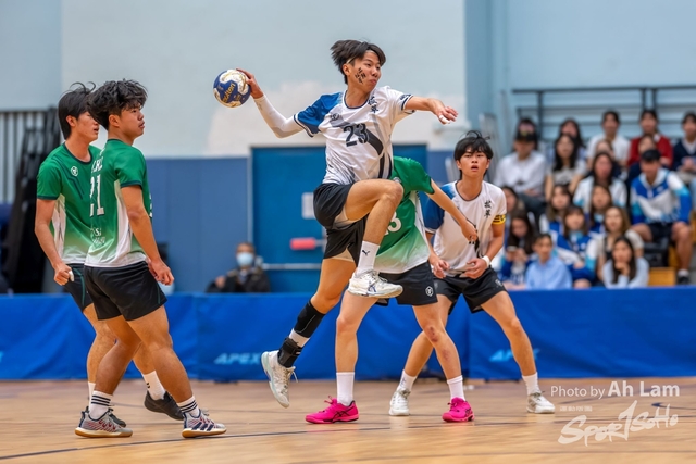 Handball  (134)