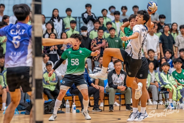 Handball  (136)