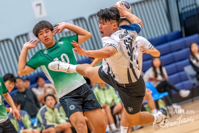 Handball  (139)
