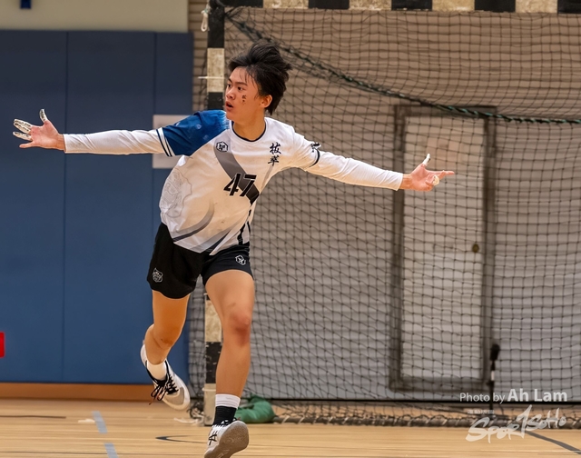 Handball  (141)