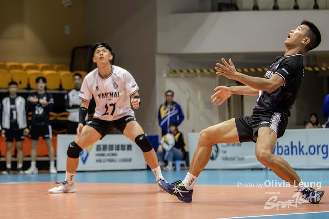 0LI_9354 copy