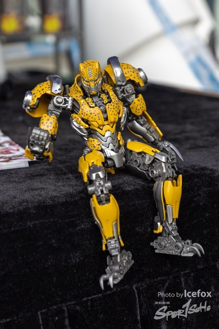 240331_Transformer_Run-20