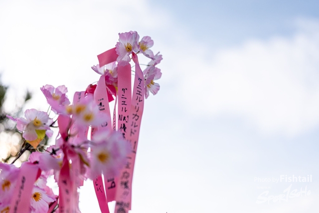 20240407-3CY03022