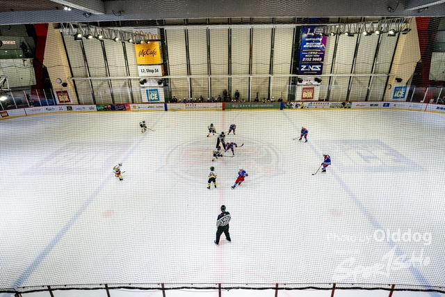 240427Hockey-64