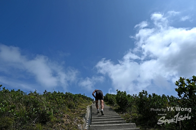 Z62_8028A