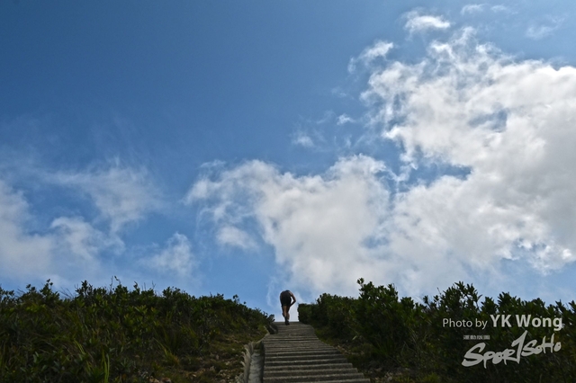 Z62_8066A