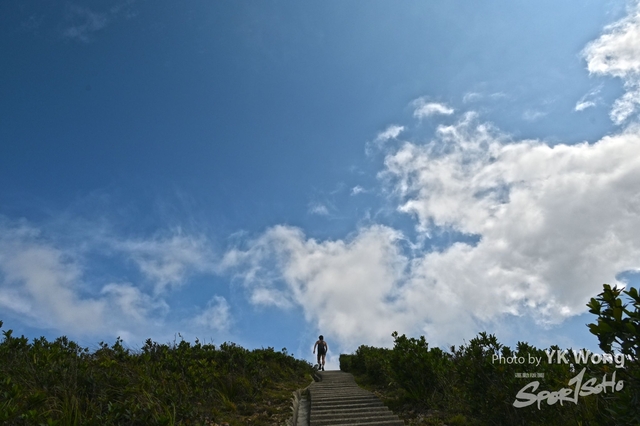 Z62_8079A