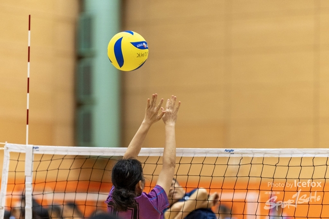 240727_LV_Ball-4