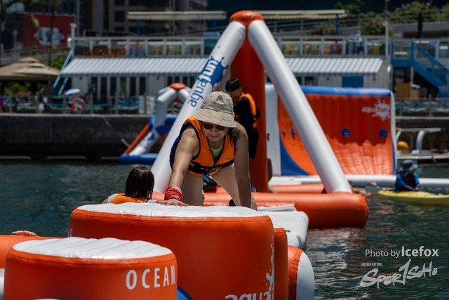 240825_Splash_Fox-19