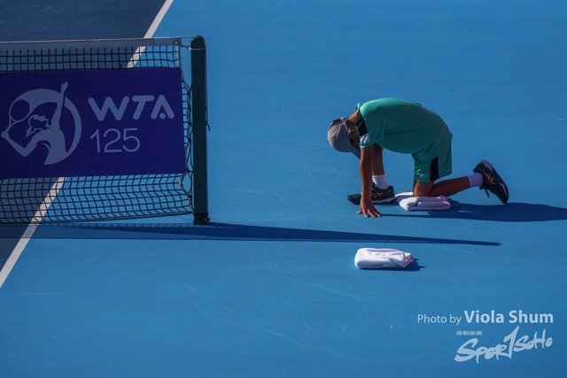 20241006_WTA_Viola-08823