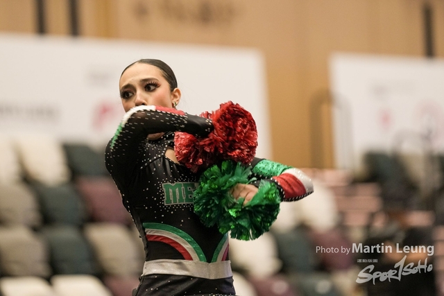 MEX2D10122113150